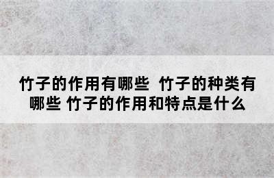 竹子的作用有哪些  竹子的种类有哪些 竹子的作用和特点是什么